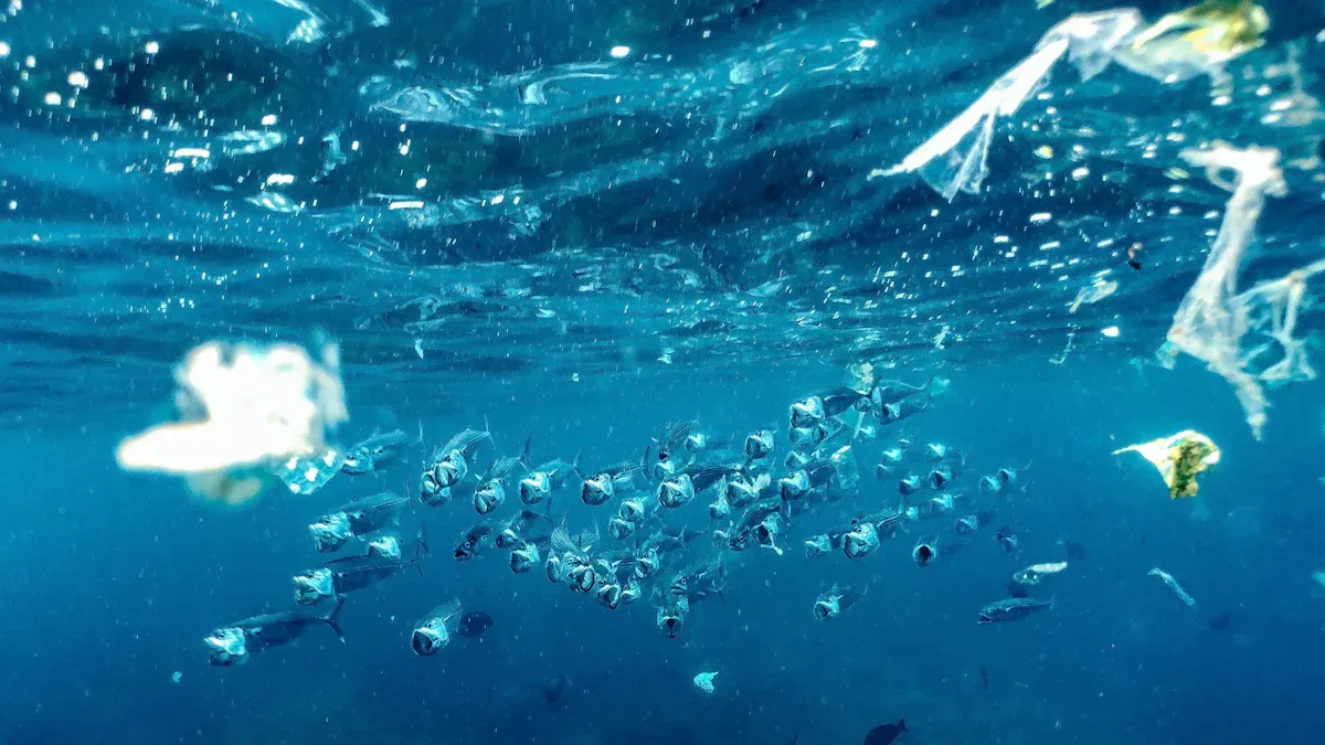 Part 2: Challenges of Underwater Environments