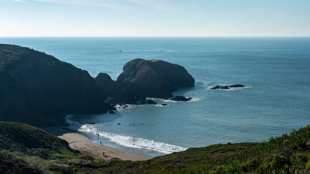 9ebedfcc3e3848eeb8c888aff0f6c494