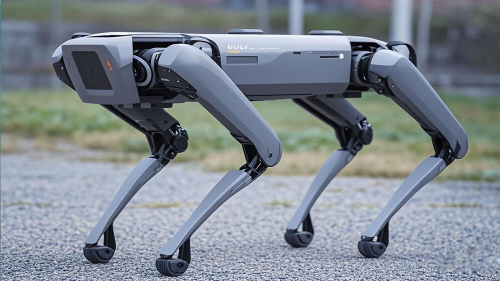 robot dog lithium battery