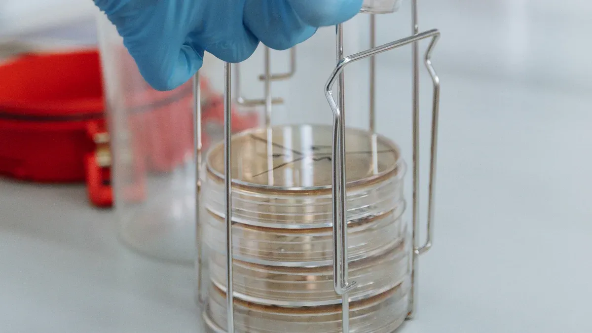 Part 4: Implementation and Testing