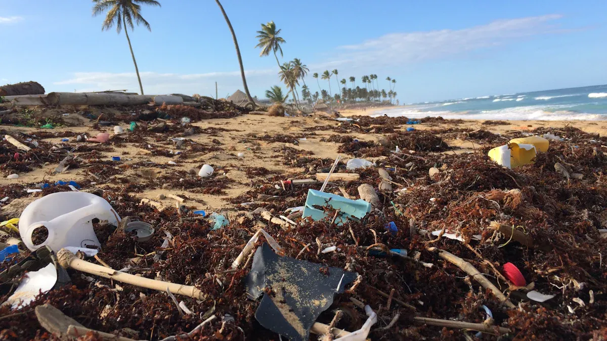 Part4: Environmental Impact