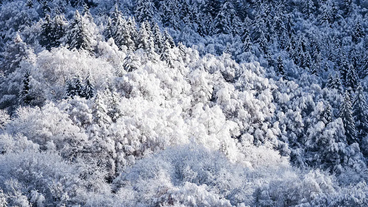 Part 1: Low-Temperature Lithium Batteries—Key Challenges